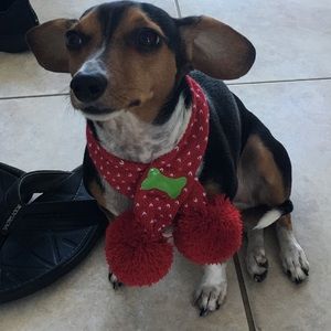 Meet your Posher, Annah